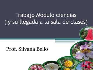Trabajo Módulo ciencias
( y su llegada a la sala de clases)



Prof. Silvana Bello
 