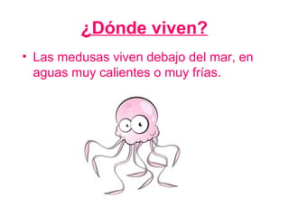 ¿Dónde viven?
• Las medusas viven debajo del mar, en
  aguas muy calientes o muy frías.
 
