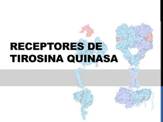 Mapa Del Receptor De Tirosina Quinasa