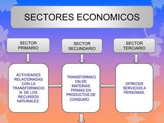 SECTORES ECONOMICOS
SECTOR
PRIMARIO
SECTOR
SECUNDARIO
SECTOR
TERCIARIO
ACTIVIDADES
RELACIONADAS
CON LA
TRANSFORMACIO
N DE LOS
RECURSOS
NATURALES.
TRANSFORMACI
ON DE
MATERIAS
PRIMAS EN
PRODUCTOS DE
CONSUMO.
OFRECER
SERVICIOS A
PERSONAS.
 