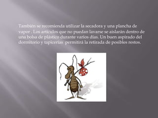 También se recomienda utilizar la secadora y una plancha de vapor . Los artículos que no puedan lavarse se aislarán dentro de una bolsa de plástico durante varios días. Un buen aspirado del dormitorio y tapicerías  permitirá la retirada de posibles restos.