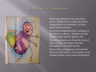 MECANISMO DE TRANSMISION 	Suele encontrarse en la zona de la nuca y detrás de las orejas, donde la temperatura es constante y el pelo sufre menos roturas. 	La forma fundamental de contagio es de cabeza a cabeza. –pueden ayudar objetos como peines, gorros, etc.	Pueden aparecer a lo largo de todo el año,  aunque los brotes son más frecuentes en la edad escolar.Para evitar contagios se recomienda llevar el pelo corto y /o recogido en la escuela (mejor con la nuca despejada).