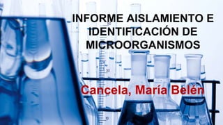INFORME AISLAMIENTO E 
IDENTIFICACIÓN DE 
MICROORGANISMOS 
Cancela, María Belén 
 