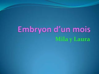 Embryon d’un moisMila y Laura
