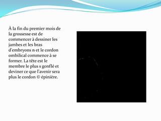 À la fin du premier mois de la grossesse est de commencer à dessiner les jambes et les bras d'embryons n et le cordon ombilical commence à se former. La tête est le membre le plus s gonflé et deviner ce que l'avenir sera plus le cordon © épinière.