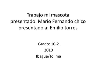 Trabajo mi mascotapresentado: Mario Fernando chicopresentado a: Emilio torres Grado: 10-2 2010 Ibagué/Tolima 
