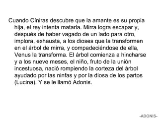 Cuando Cíniras descubre que la amante es su propia
hija, el rey intenta matarla. Mirra logra escapar y,
después de haber vagado de un lado para otro,
implora, exhausta, a los dioses que la transformen
en el árbol de mirra, y compadeciéndose de ella,
Venus la transforma. El árbol comienza a hincharse
y a los nueve meses, el niño, fruto de la unión
incestuosa, nació rompiendo la corteza del árbol
ayudado por las ninfas y por la diosa de los partos
(Lucina). Y se le llamó Adonis.
-ADONIS-
 
