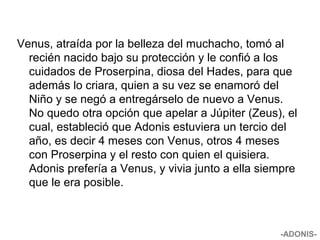Venus, atraída por la belleza del muchacho, tomó al
recién nacido bajo su protección y le confió a los
cuidados de Proserpina, diosa del Hades, para que
además lo criara, quien a su vez se enamoró del
Niño y se negó a entregárselo de nuevo a Venus.
No quedo otra opción que apelar a Júpiter (Zeus), el
cual, estableció que Adonis estuviera un tercio del
año, es decir 4 meses con Venus, otros 4 meses
con Proserpina y el resto con quien el quisiera.
Adonis prefería a Venus, y vivia junto a ella siempre
que le era posible.
-ADONIS-
 
