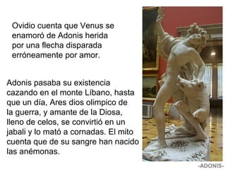 Ovidio cuenta que Venus se
enamoró de Adonis herida
por una flecha disparada
erróneamente por amor.
Adonis pasaba su existencia
cazando en el monte Líbano, hasta
que un día, Ares dios olimpico de
la guerra, y amante de la Diosa,
lleno de celos, se convirtió en un
jabali y lo mató a cornadas. El mito
cuenta que de su sangre han nacido
las anémonas.
-ADONIS-
 
