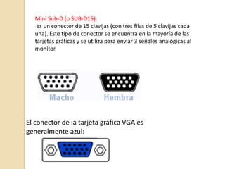 Mini Sub-D (o SUB-D15):
    es un conector de 15 clavijas (con tres filas de 5 clavijas cada
   una). Este tipo de conector se encuentra en la mayoría de las
   tarjetas gráficas y se utiliza para enviar 3 señales analógicas al
   monitor.




El conector de la tarjeta gráfica VGA es
generalmente azul:
 