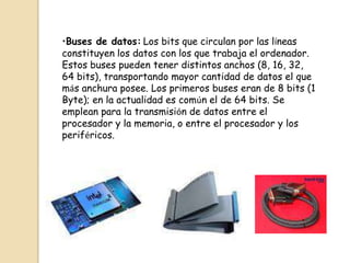•Buses de datos: Los bits que circulan por las líneas
constituyen los datos con los que trabaja el ordenador.
Estos buses pueden tener distintos anchos (8, 16, 32,
64 bits), transportando mayor cantidad de datos el que
más anchura posee. Los primeros buses eran de 8 bits (1
Byte); en la actualidad es común el de 64 bits. Se
emplean para la transmisión de datos entre el
procesador y la memoria, o entre el procesador y los
periféricos.
 