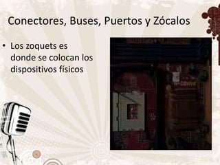 Conectores, Buses, Puertos y Zócalos
• Los zoquets es
  donde se colocan los
  dispositivos físicos
 