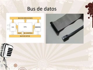 Bus de datos
 