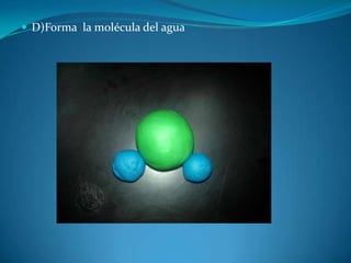  D)Forma la molécula del agua
 