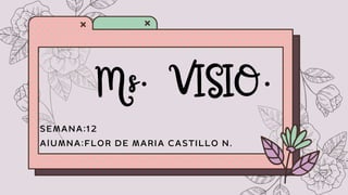Ms. VISIO.
SEMANA:12
AlUMNA:FLOR DE MARIA CASTILLO N.
 