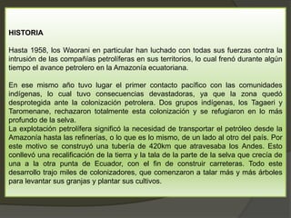 HISTORIA
Hasta 1958, los Waorani en particular han luchado con todas sus fuerzas contra la
intrusión de las compañías petrolíferas en sus territorios, lo cual frenó durante algún
tiempo el avance petrolero en la Amazonía ecuatoriana.
En ese mismo año tuvo lugar el primer contacto pacífico con las comunidades
indígenas, lo cual tuvo consecuencias devastadoras, ya que la zona quedó
desprotegida ante la colonización petrolera. Dos grupos indígenas, los Tagaeri y
Taromenane, rechazaron totalmente esta colonización y se refugiaron en lo más
profundo de la selva.
La explotación petrolífera significó la necesidad de transportar el petróleo desde la
Amazonía hasta las refinerías, o lo que es lo mismo, de un lado al otro del país. Por
este motivo se construyó una tubería de 420km que atravesaba los Andes. Esto
conllevó una recalificación de la tierra y la tala de la parte de la selva que crecía de
una a la otra punta de Ecuador, con el fin de construir carreteras. Todo este
desarrollo trajo miles de colonizadores, que comenzaron a talar más y más árboles
para levantar sus granjas y plantar sus cultivos.
 
