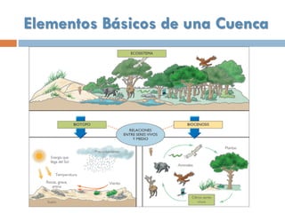 Elementos Básicos de una Cuenca
 