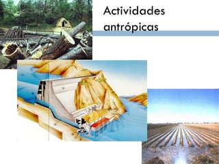Actividades
antrópicas
 