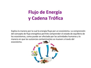 Flujo de Energía
                  y Cadena Trófica

Explica la manera por la cual la energía fluye por un ecosistema. La comprensión
del concepto de flujo energético permite comprender el estado de equilibrio de
los ecosistemas, como puede ser afectado por las actividades humanas y la
manera en que las sustancias contaminantes se mueven a través del
ecosistema.
 