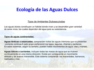 Ecología de las Aguas Dulces

                        Tipos de Ambientes Dulceacuícolas

Las aguas dulces constituyen un hábitat donde viven y se desarrollan gran variedad
de seres vivos, los cuales dependen del agua para su subsistencia.


Tipos de aguas continentales:

Aguas lénticas o estancadas, comprenden todas las aguas interiores que no presentan
                  estancadas
corriente continua.A este grupo pertenecen los lagos, lagunas, charcas y pantanos.
En estos sistemas, según su tamaño, pueden haber movimientos de agua: olas y mareas.

Aguas lóticas o corrientes, incluyen todas las masas de agua que se mueven
continuamente en una misma dirección. Existe por consiguiente un movimiento
definido y de avance irreversible. Este sistema comprende: los manantiales, barrancos,
riachuelos y ríos.
 
