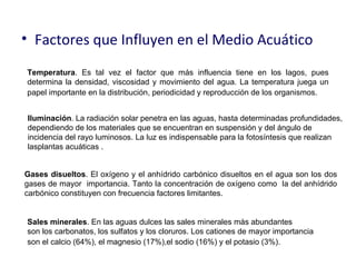 • Factores que Influyen en el Medio Acuático
Temperatura. Es tal vez el factor que más influencia tiene en los lagos, pues
determina la densidad, viscosidad y movimiento del agua. La temperatura juega un
papel importante en la distribución, periodicidad y reproducción de los organismos.


Iluminación. La radiación solar penetra en las aguas, hasta determinadas profundidades,
dependiendo de los materiales que se encuentran en suspensión y del ángulo de
incidencia del rayo luminosos. La luz es indispensable para la fotosíntesis que realizan
lasplantas acuáticas .


Gases disueltos. El oxígeno y el anhídrido carbónico disueltos en el agua son los dos
gases de mayor importancia. Tanto la concentración de oxígeno como la del anhídrido
carbónico constituyen con frecuencia factores limitantes.


Sales minerales. En las aguas dulces las sales minerales más abundantes
son los carbonatos, los sulfatos y los cloruros. Los cationes de mayor importancia
son el calcio (64%), el magnesio (17%),el sodio (16%) y el potasio (3%).
 