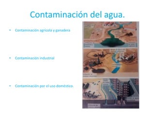 Contaminación del agua.
• Contaminación agrícola y ganadera
• Contaminación industrial
• Contaminación por el uso doméstico.
 