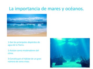 La importancia de mares y océanos.
1-Son los principales depósitos de
agua de la Tierra.
2-Actúan como moderadores del
clima.
3-Constituyen el hábitat de un gran
número de seres vivos.
 
