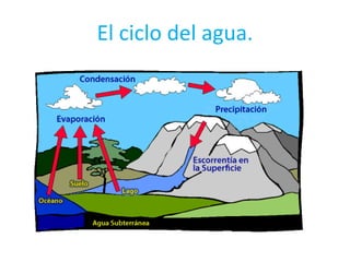 El ciclo del agua.
 