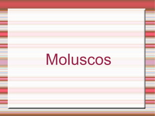 Moluscos
 