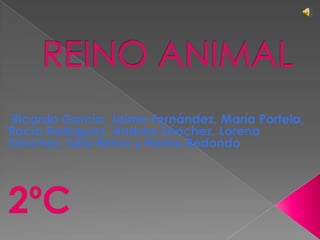 REINO ANIMAL  Ricardo García, Jaime Fernández, María Portela, Rocío Rodríguez, Andrea Sánchez, Lorena Sánchez, Sara Reina y Nerea Redondo 2ºC 