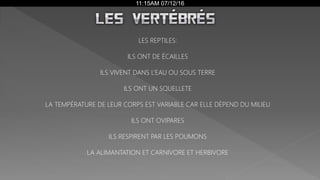 11:15AM 07/12/16
LES REPTILES:
ILS ONT DE ÉCAILLES
ILS VIVENT DANS L’EAU OU SOUS TERRE
ILS ONT UN SQUELLETE
LA TEMPÉRATURE DE LEUR CORPS EST VARIABLE CAR ELLE DÈPEND DU MILIEU
ILS ONT OVIPARES
ILS RESPIRENT PAR LES POUMONS
LA ALIMANTATION ET CARNIVORE ET HERBIVORE
 