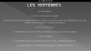 11:15AM 07/12/16
LES AMPHIBIENS:
ILS ONT LA PEAU NUE ET HUMIDE
ILS ONT 4 EXTRÉMITÉS EN FORME DE PATTES. ENTRE LES DOIGTS ILS ONT DES MEMBRANES QUI LEUR
PERMETTENT DE NAGER ET PLONGER FACILMENT
ILS ONT UN SQUELLETE
LA TEMPÉRATURE DE LEUR CORPS EST VARIABLE CAR ELLE DÈPEND DU MILIEU
ILS ONT OVIPARES
ILS RESPIRENT PAR LES POUMONS (ADULTES) ET PAR LES BRANCHIES (PETITS)
LA ALIMANTATION ET CARNIVORE (ADULTES) ET HERBIVORE (PETITS)
 