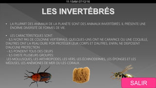 11:15AM 07/12/16
• LA PLUPART DES ANIMAUX DE LA PLANÈTE SONT DES ANIMAUX INVERTÉBRÉS. IL PRÉSENTE UNE
ÉNORME DIVERSITÉ DE FORMES DE VIE.
• LES CARACTÉRISTIQUES SONT:
- ILS N’ONT PAS DE COLONNE VERTÉBRALE, QUELQUES-UNS ONT NE CARAPACE OU UNE COQUILLE,
D’AUTRES ONT LA PEAU DURE POR PROTÉGER LEUR CORPS ET D’AUTRES, ENFIN, NE DISPOSENT
D’AUCUNE PROTECTION
- ILS PONDENT TOUS DES OEUFS
- ILS EXISTE PLUSIEURS GROUPES:
LES MOLLUSQUES, LES ARTHROPODES, LES VERS, LES ÉCHINODERMES, LES ÉPONGES ET LES
MÉDUSES, LES ANÉMONES DE MER OU LES CORAUX.
SALIR
 
