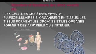 11:15AM 07/12/16
•LES CELLULES DES ÊTRES VIVANTS
PLURICELLULAIRES S’ ORGANISENT EN TISSUS, LES
TISSUS FORMENT LES ORGANES ET LES ORGANES
FORMENT DES APPAREILS OU SYSTÈMES.
 