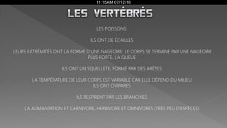 11:15AM 07/12/16
LES POISSONS:
ILS ONT DE ÉCAILLES
LEURS EXTRÉMITÉS ONT LA FORME D`UNE NAGEOIRE. LE CORPS SE TERMINE PAR UNE NAGEOIRE
PLUS FORTE, LA QUEUE
ILS ONT UN SQUELLETE, FORMÉ PAR DES ARÊTES
LA TEMPÉRATURE DE LEUR CORPS EST VARIABLE CAR ELLE DÈPEND DU MILIEU
ILS ONT OVIPARES
ILS RESPIRENT PAR LES BRANCHIES
LA ALIMANTATION ET CARNIVORE, HERBIVORE ET OMNIVORES (TRÈS PEU D’ESPÈCES)
 