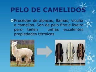 PELO DE CAMELIDOS
Proceden de alpacas, llamas, vicuña
e camellos. Son de pelo fino e lixeiro
pero teñen unhas excelentes
propiedades térmicas.
 