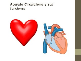 Aparato Circulatorio y sus
funciones
 