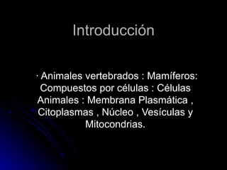 Introducción · Animales vertebrados : Mamíferos: Compuestos por células : Células Animales : Membrana Plasmática , Citoplasmas , Núcleo , Vesículas y Mitocondrias. 