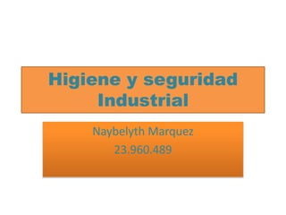 Higiene y seguridad
Industrial
Naybelyth Marquez
23.960.489
 