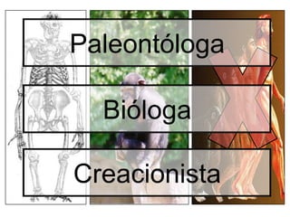 Paleontóloga  Bióloga  Creacionista 