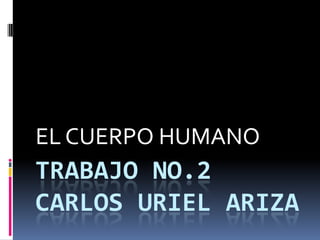 TRABAJO No.2Carlos urielariza EL CUERPO HUMANO 