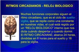 RITMOS CIRCADIANOS - RELOJ BIOLOGICO
Muchas funciones corporales siguen el
ritmo circadiano, que es el ciclo de sueño-
vigilia, que se repite como una constante
en nuestras vidas, el cual está regido por
un “RELOJ BIOLOGICO” interno que nos
dicta cuándo despertar y cuando dormir.
El RITMO CIRCADIAN0, abarca 24 horas,
divididas en 8 horas para el sueño y 16
para la vigilia.
 