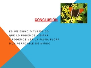 CONCLUSIÓN
E S U N E S P A C I O T U R Í S T I C O
Q U E L O P O D E M O S V I S I TA R
Y P O D E M O S V E R L A FA U N A F L O R A
M U Y A G R A D A B L E D E M I N D O
 