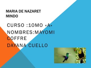 MARIA DE NAZARET
MINDO
CURSO :10MO «A»
NOMBRES:MAYOMI
COFFRE
DAYANA CUELLO
 
