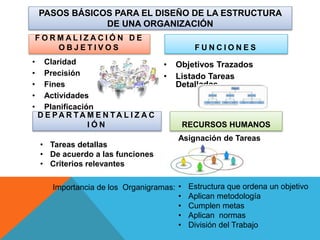 PASOS BÁSICOS PARA EL DISEÑO DE LA ESTRUCTURA
DE UNA ORGANIZACIÓN
F O R M A L I Z A C I Ó N D E
O B J E T I V O S
• Claridad
• Precisión
• Fines
• Actividades
• Planificación
F U N C I O N E S
• Objetivos Trazados
• Listado Tareas
Detalladas
D E P A R T A M E N T A L I Z A C
I Ó N RECURSOS HUMANOS
• Tareas detallas
• De acuerdo a las funciones
• Criterios relevantes
Asignación de Tareas
Importancia de los Organigramas: • Estructura que ordena un objetivo
• Aplican metodología
• Cumplen metas
• Aplican normas
• División del Trabajo
 
