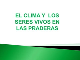 EL CLIMA Y LOS
SERES VIVOS EN
LAS PRADERAS
 