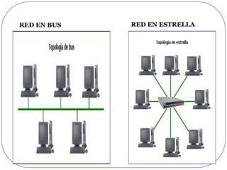 RED EN BUS RED EN ESTRELLA
 