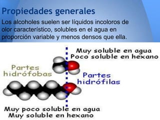Propiedades generales
Los alcoholes suelen ser líquidos incoloros de
olor característico, solubles en el agua en
proporción variable y menos densos que ella.

 