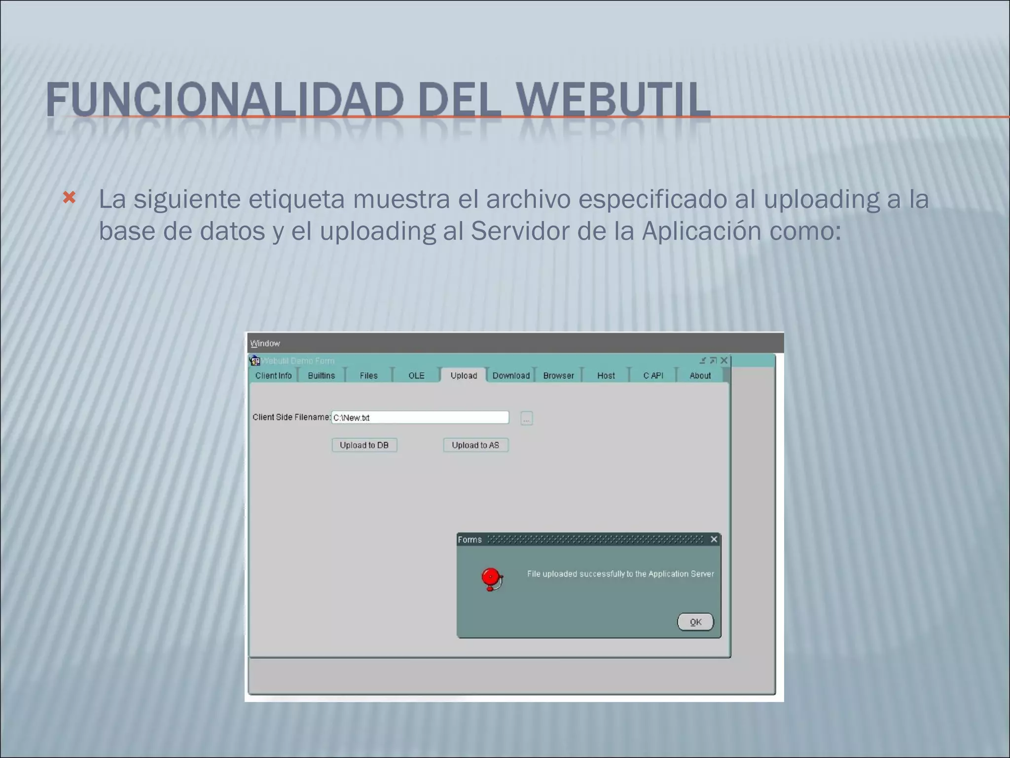 La siguiente etiqueta muestra el archivo especificado al uploading a la base de datos y el uploading al Servidor de la Aplicación como:  