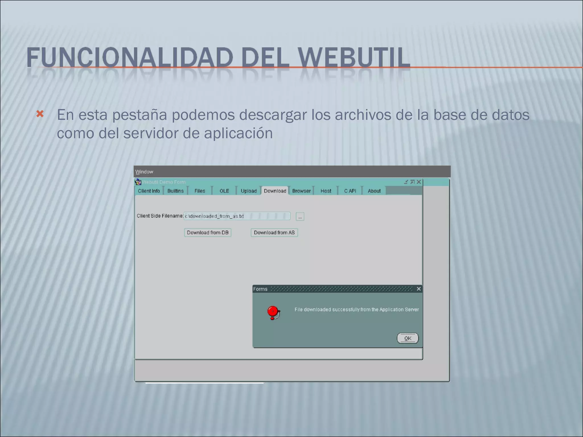 En esta pestaña podemos descargar los archivos de la base de datos como del servidor de aplicación 